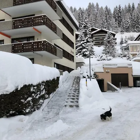 Jasmin * Davos
