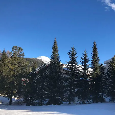 Jasmin Davos